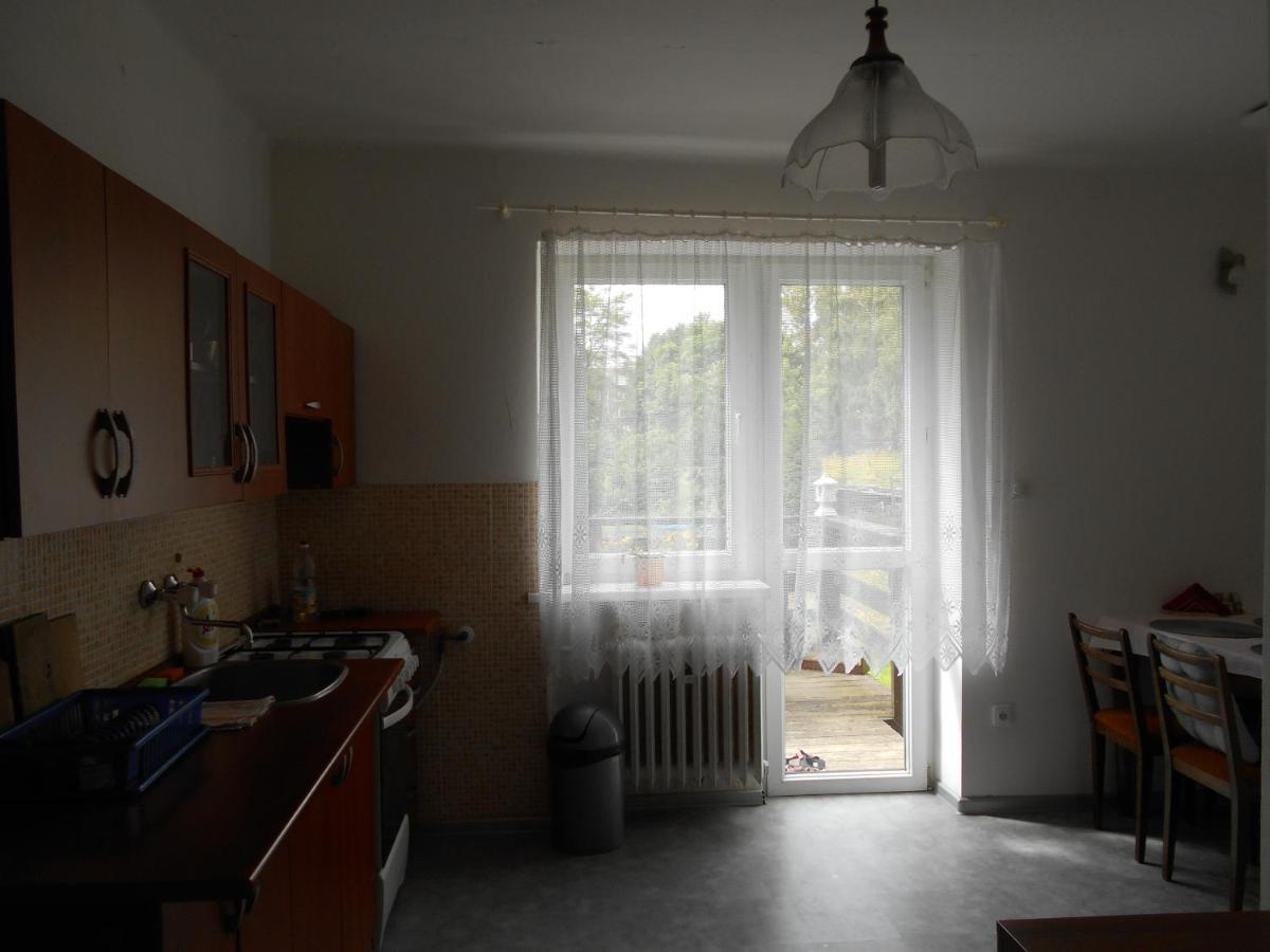 Ubytovani Ve Frydku Frýdek-Místek エクステリア 写真